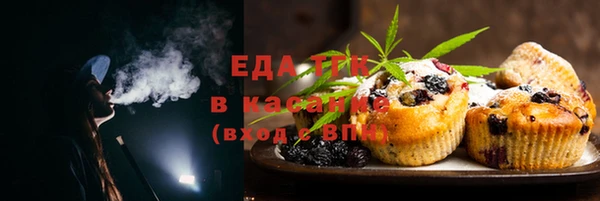 твердый Иннополис