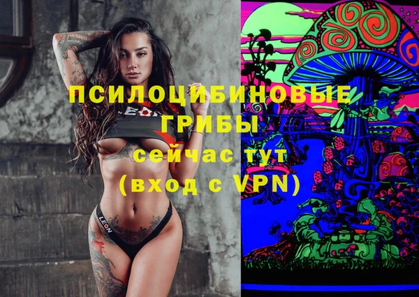 mdpv Инсар
