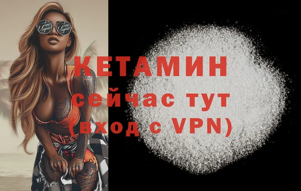 твердый Иннополис