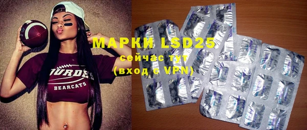mdpv Инсар