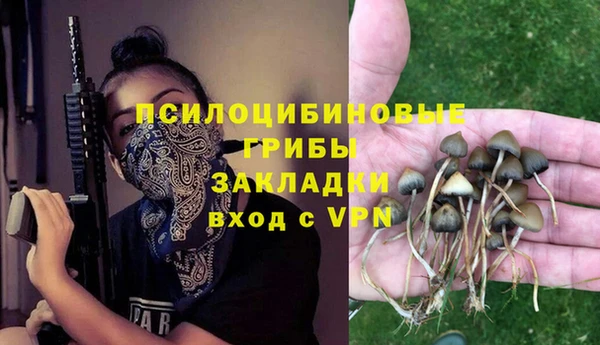 mdpv Инсар