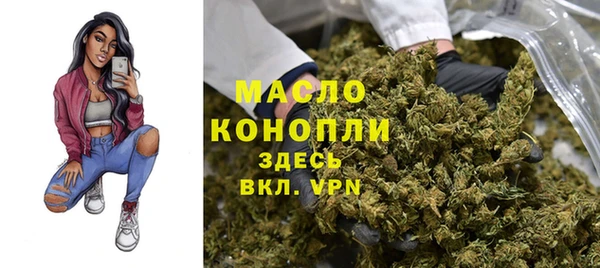 mdpv Инсар