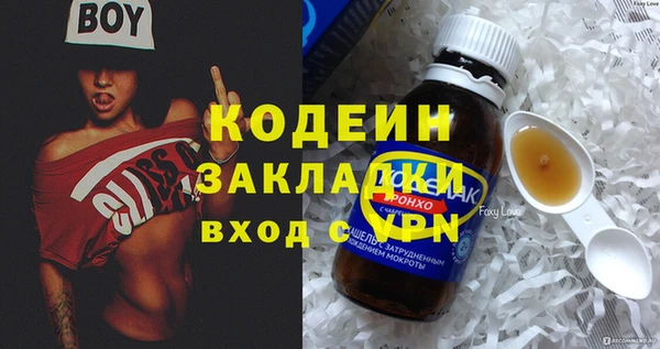 твердый Иннополис