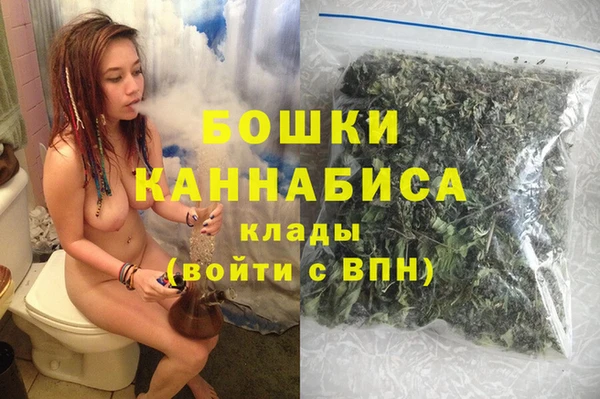 mdpv Инсар