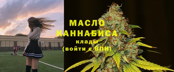твердый Иннополис